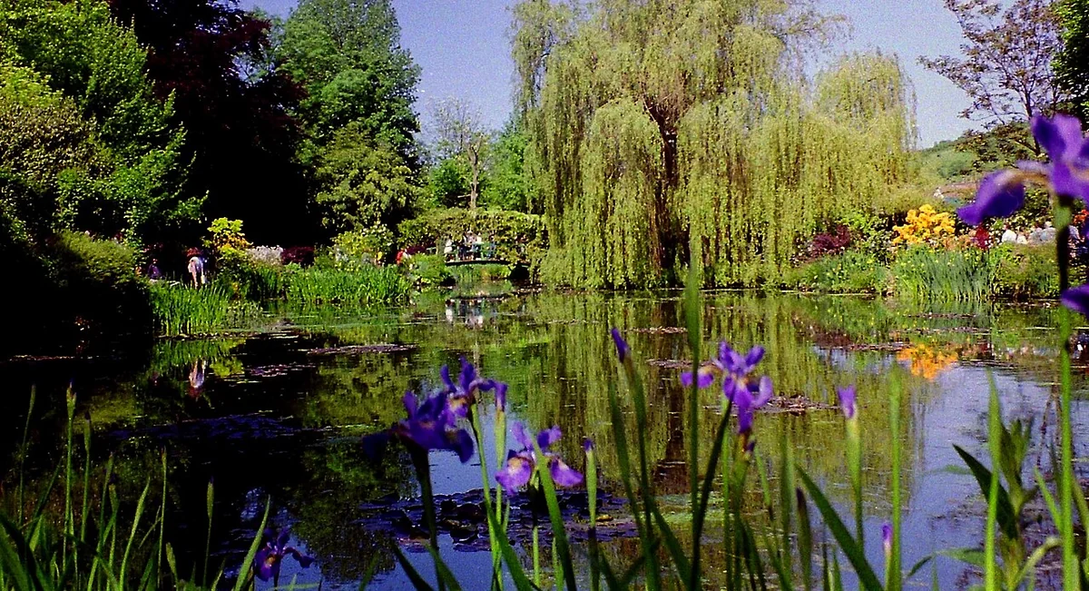 Jardin planté autour d’un bassin à Giverny