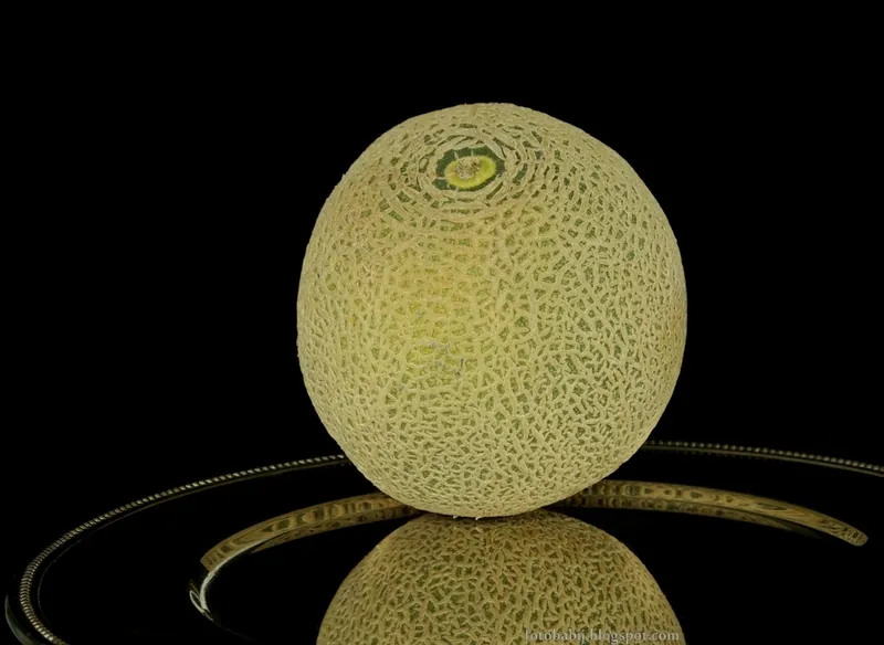 Melon — Cucumis melo